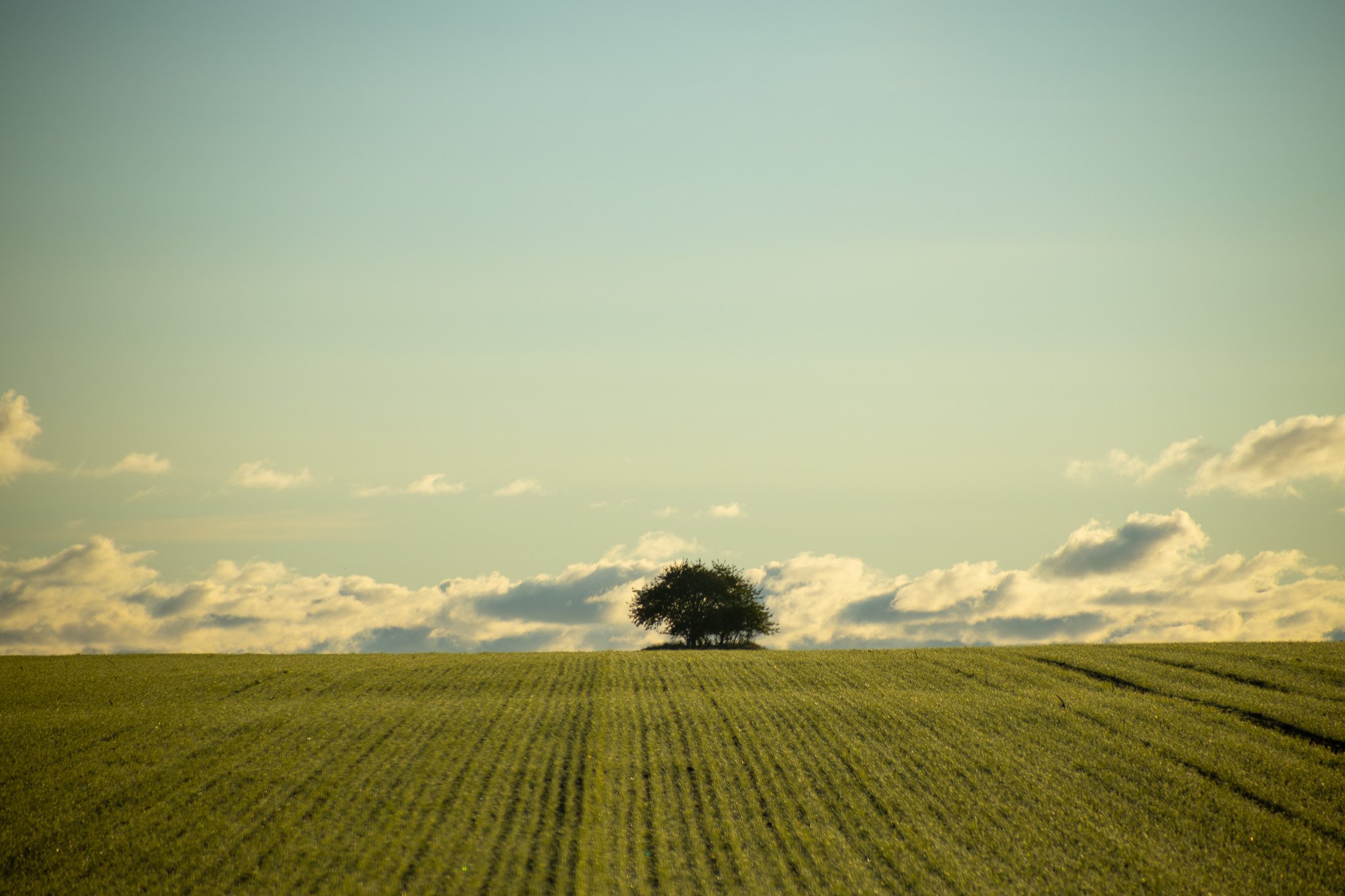 JAHRESZEITEN - weite Felder