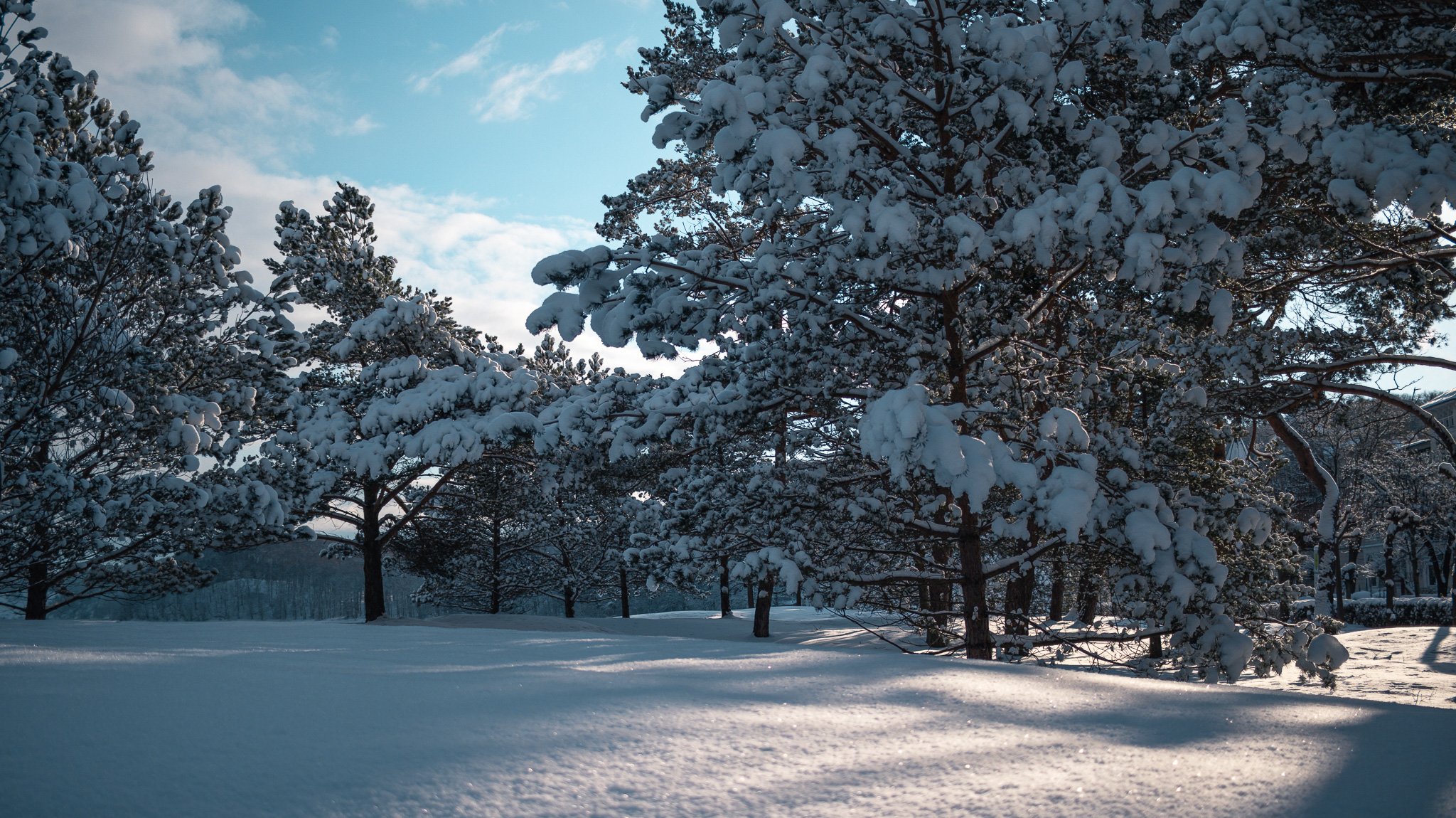 JAHRESZEITEN - Winter am Meer